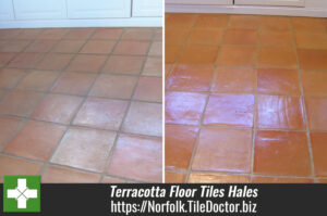 Dirty Terracotta Floor Tiles Cleaned and Sealed in Hales